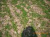 DSCN0337.JPG