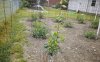 KINDLE_CAMERA_1462193010000.jpg
