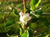 DSCN3126.JPG