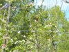 DSCN3168.JPG