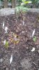 20160519_064559.jpg