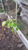20160519_064612.jpg