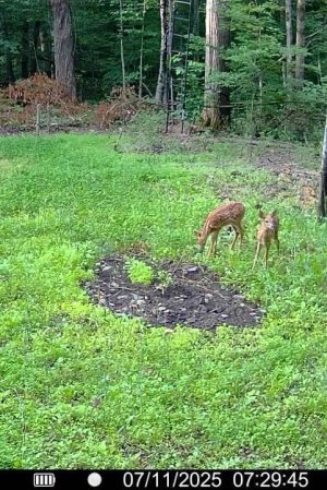 IMG_9550.JPG