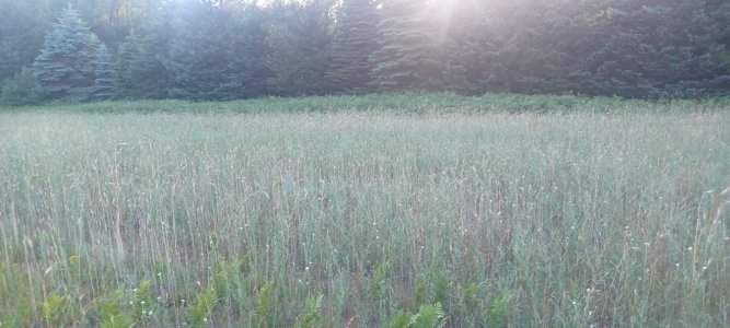 20240703_202609.jpg