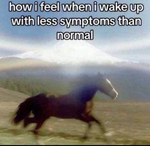 IMG_7787.jpeg