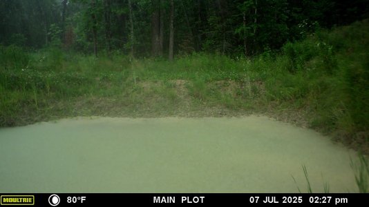 MFDC3197.JPG
