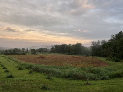 IMG_0374.jpeg