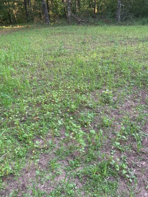 IMG_0961.jpeg