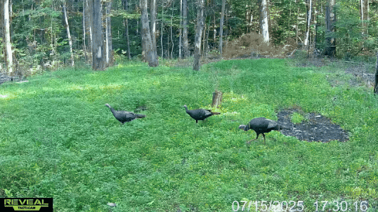ezgif-62f4bc27927e5f.gif