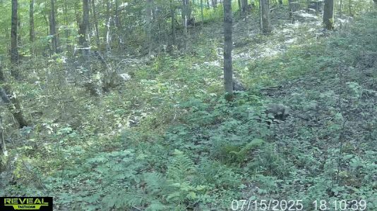 ezgif-66f246577b516c.gif