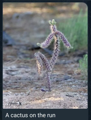 1752856614154.png