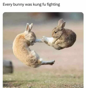 1752858274084.png