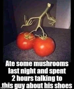 1752860534503.png