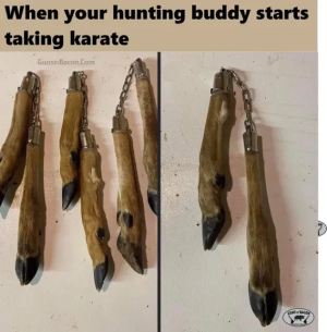 1752863974564.png