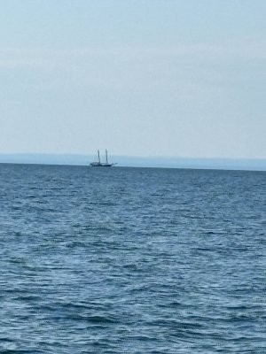 IMG_2895.jpg