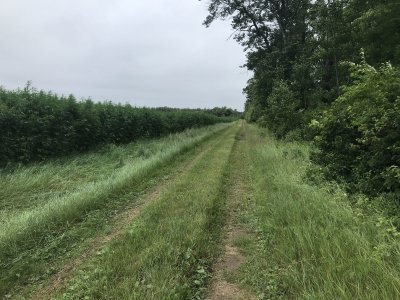 470AC26B-E72E-4820-89DF-60944361E81B.jpeg