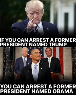 arrest.jpeg