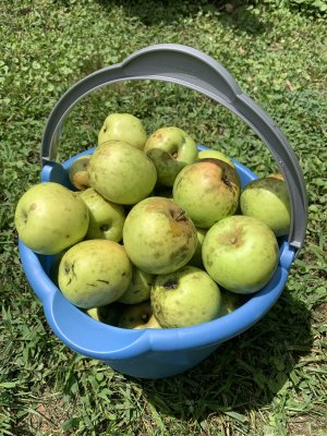 IMG_5577.jpeg