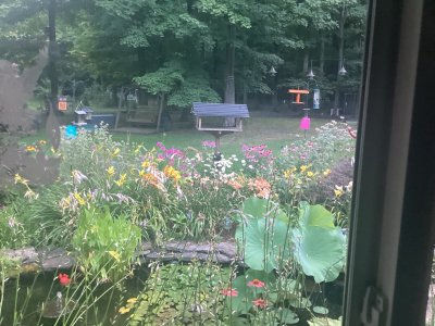 IMG_2272.jpeg