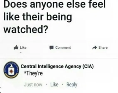 1753376292460.png