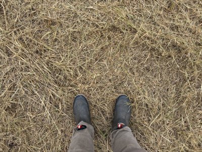 IMG_0537.jpeg