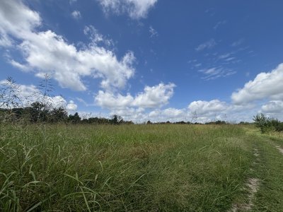 IMG_4914.jpeg