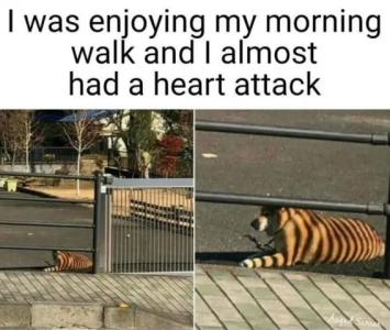 1753811263509.png