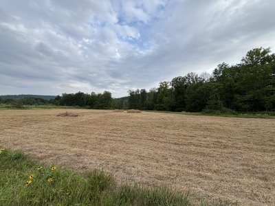IMG_0545.jpeg