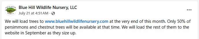 1753888932757.png