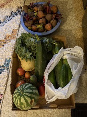 IMG_0740.JPG