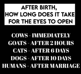 1754074609376.png