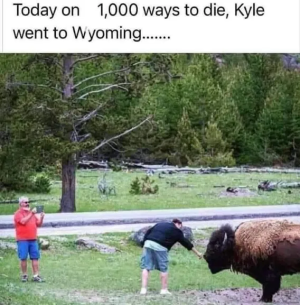 1754076627620.png