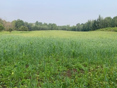 IMG_8062.jpeg