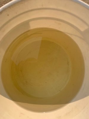 IMG_8071.jpeg