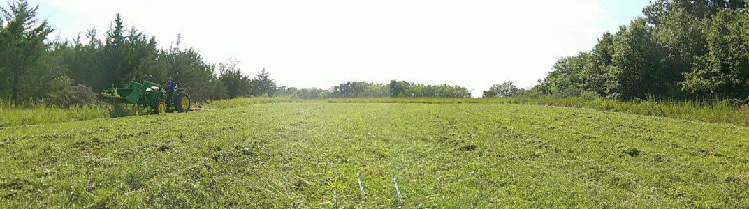 IMG_1500.jpeg