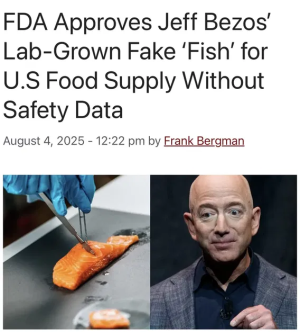 1754509203051.png