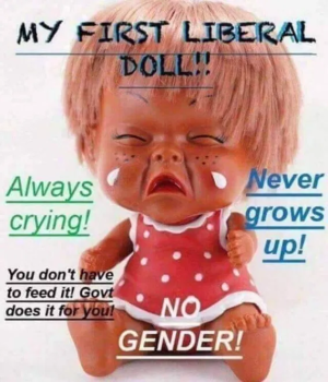 1754511904363.png