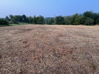 IMG_0694.jpg