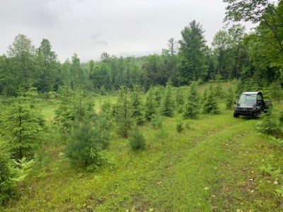 IMG_7603 (1).jpeg
