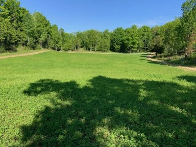 IMG_5642 (1).jpeg