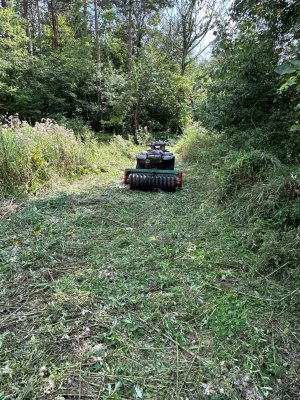 IMG_6682.jpeg