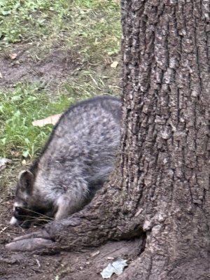 IMG_7196.JPG