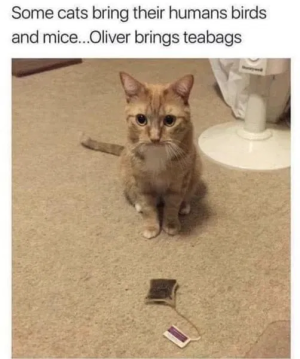 1755011971878.png