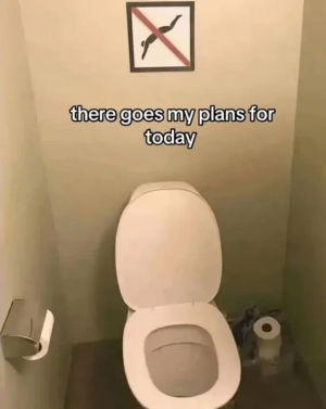 1755016436359.png