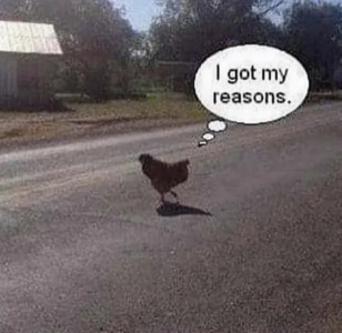 1755020152249.png
