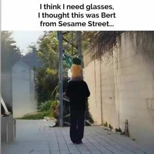 1755020339713.png