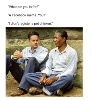 1755020407862.png