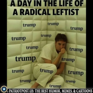 1755020521787.png