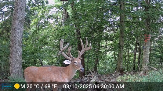 mr50-DSCF0639.JPG