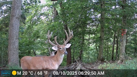 mr50-DSCF0636.JPG